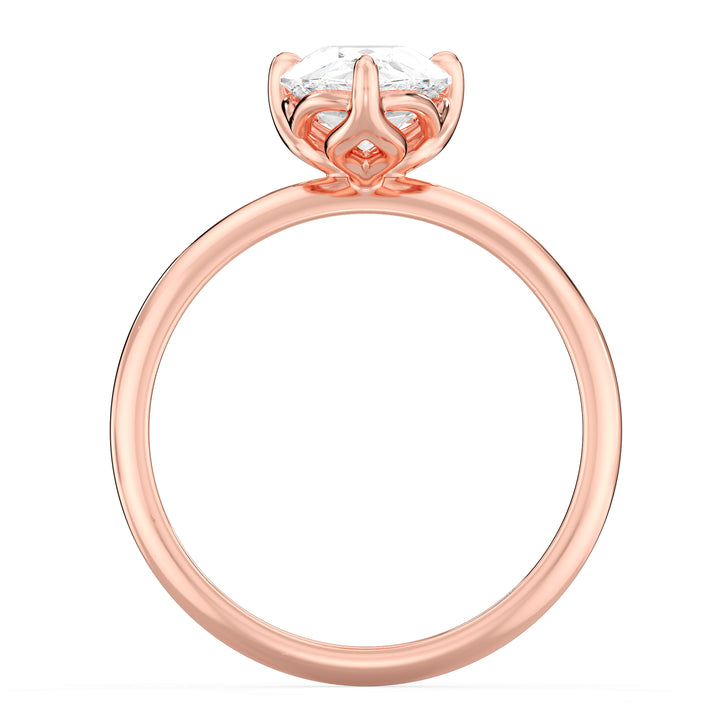 Обручка груші для соцлинного засідання