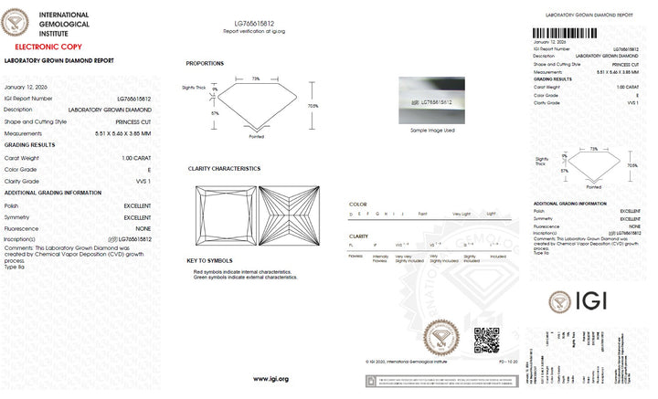 1.00 Carat Princess Lab Grown Diamond, VVS1/E