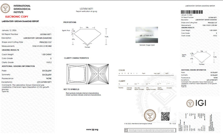 1.00 Carat Princess Lab Grown Diamond, VVS2/E