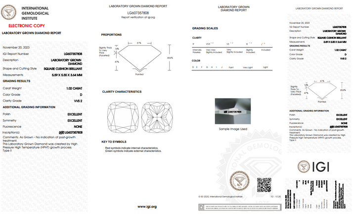 IGI -zertifiziert 1,02 ct Kissen geschnittene Diamant -VVS2/D -Farbe Labor geschnitten