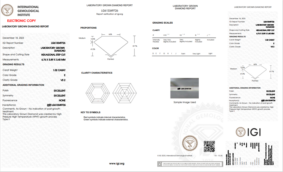 IGI bersertifikat 1,02 ct hexagonal cut lab berlian | VS2 Clarity | E warna