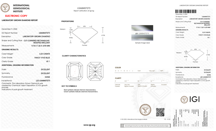 3.23 CT מפואר בצבע כחול חי VS1 CREANIANC CUT DIAMONDED LABROUN LAB - IGI Certified