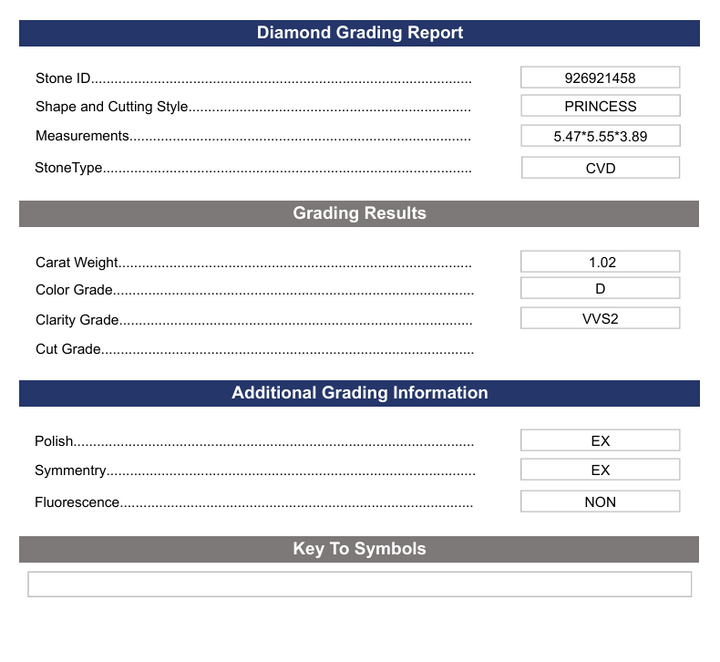 1.02 CT D Renk VVS2 Prenses Kesme Laboratuar Growed - Varyasyon Sertifikalı