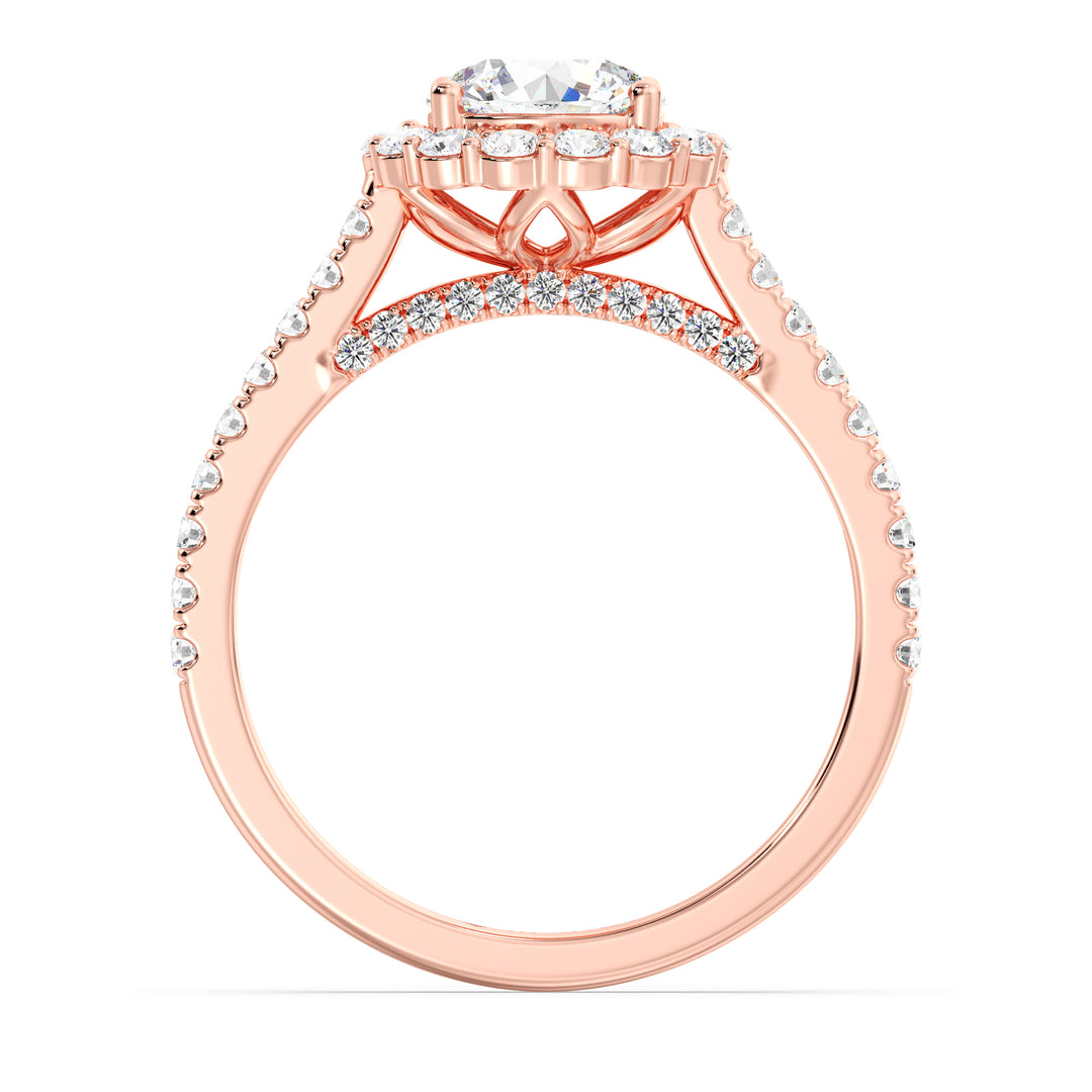 Scalloped Halo Solitaire Ring